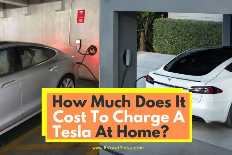 Two Tesla EVs at charging