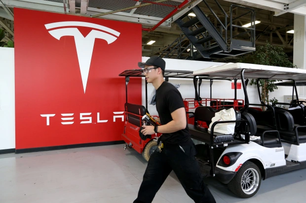 Tesla Golf Cart