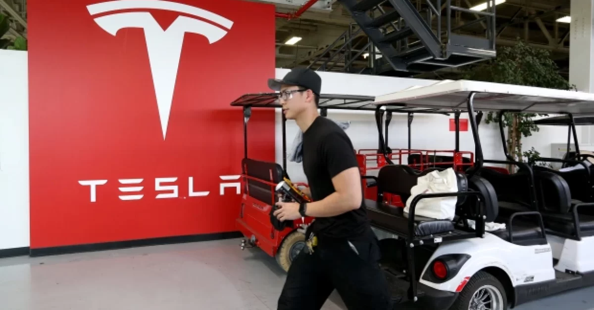 Tesla Golf Cart